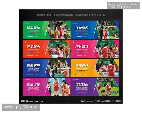 张伟独家分享排球心得与技巧提升之道助你成为排球高手